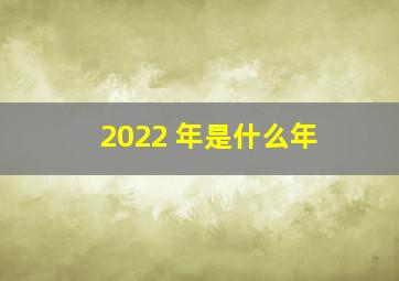 2022 年是什么年